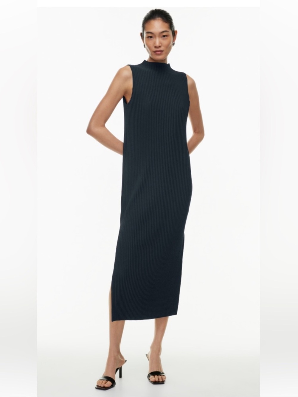 Aritzia Babaton Optimize Dress